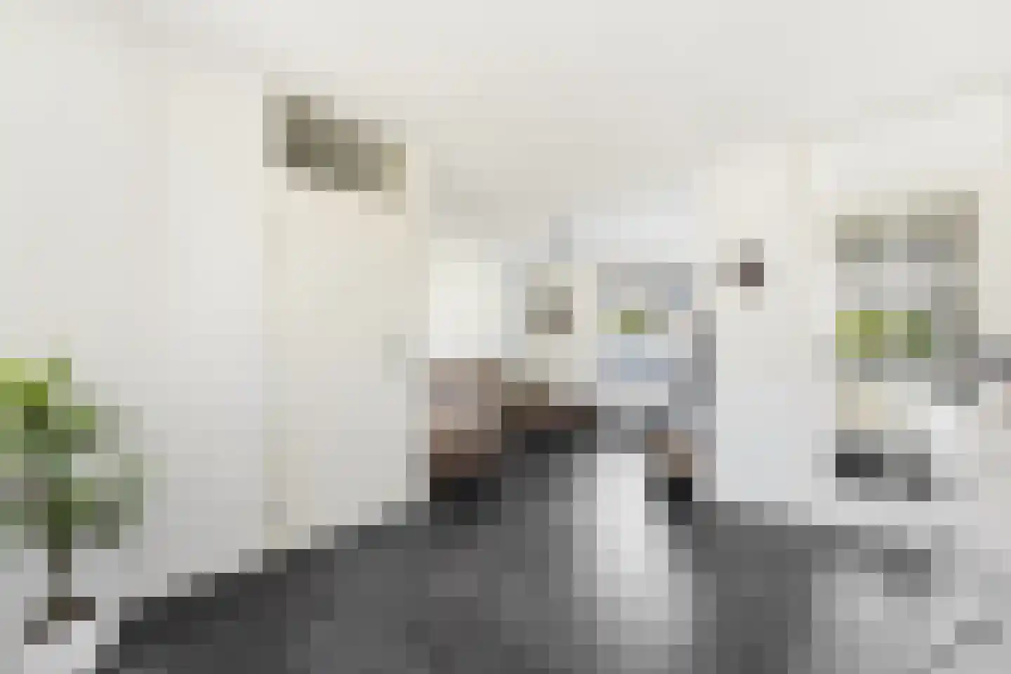 Lorentzstraat 34 Ridderkerk thumbnail 11