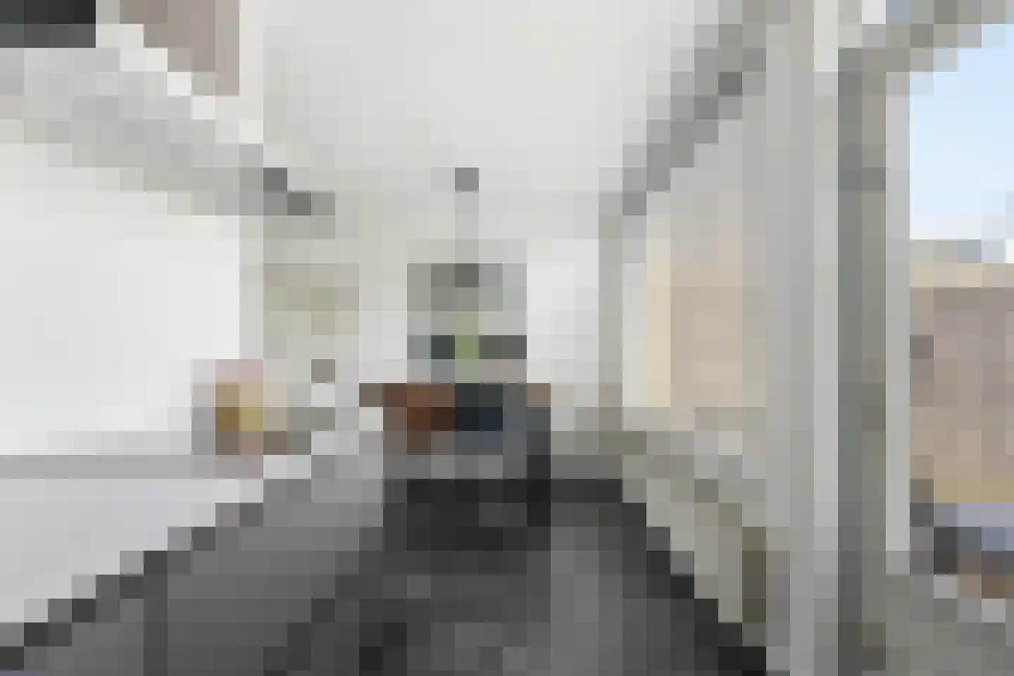 Lorentzstraat 34 Ridderkerk thumbnail 17