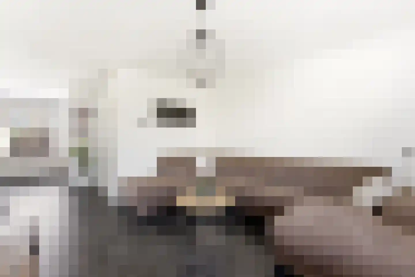 Lorentzstraat 34 Ridderkerk thumbnail 4