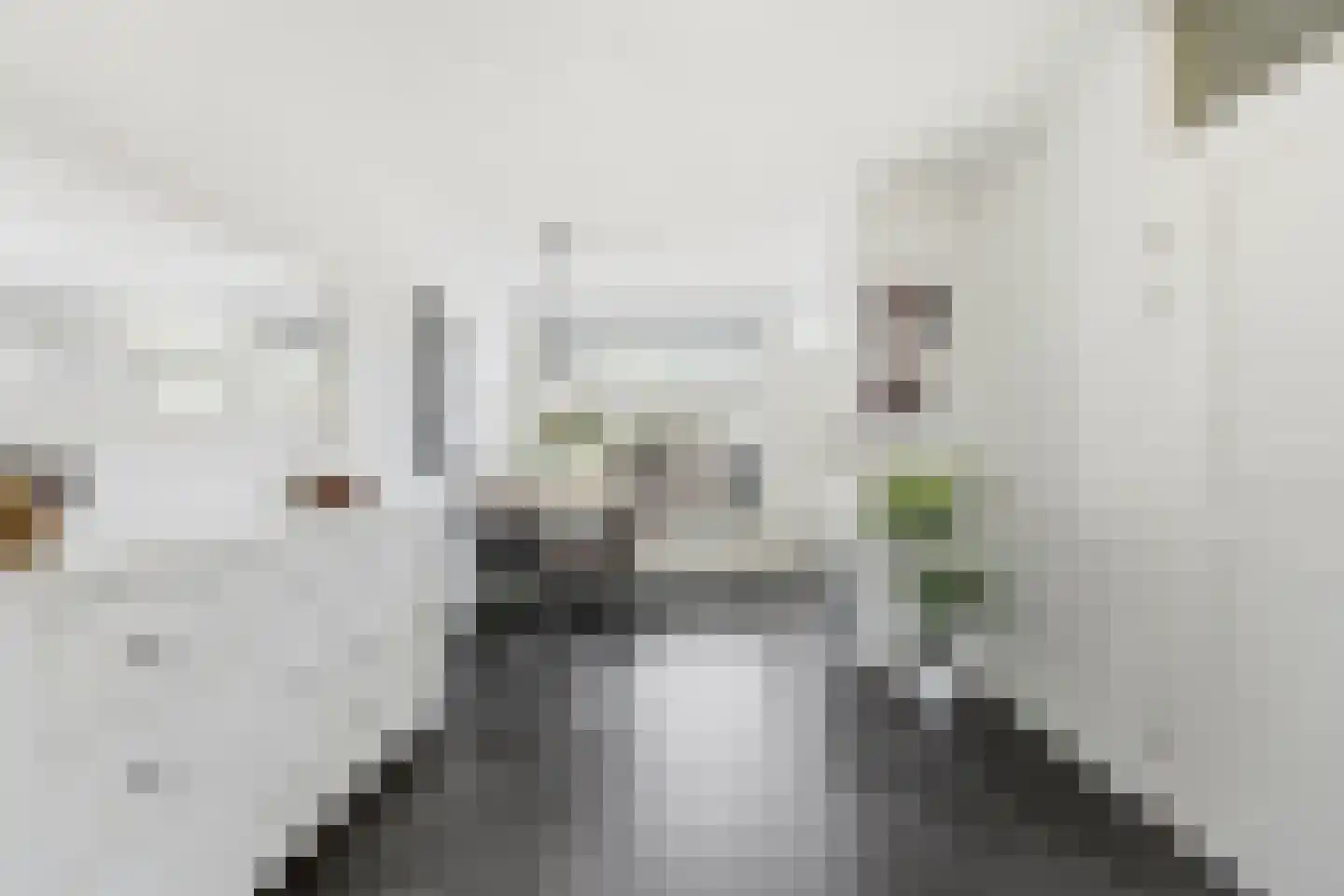Lorentzstraat 34 Ridderkerk thumbnail 9