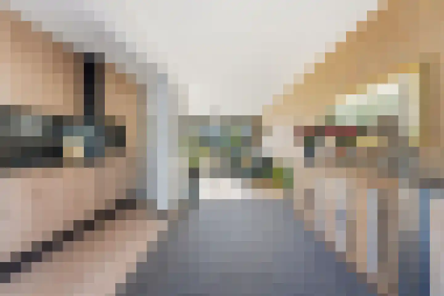Lorentzstraat 41 Vlaardingen thumbnail 7