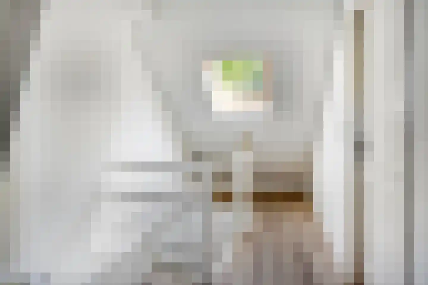 Lorentzstraat 42 Breda thumbnail 27