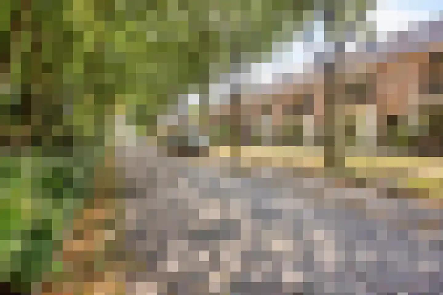 Lorentzstraat 42 Breda thumbnail 34