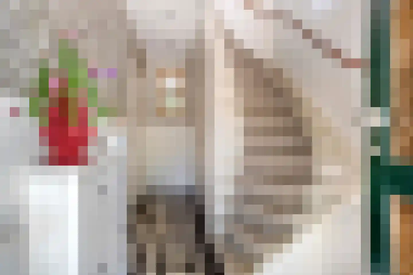 Lorentzstraat 42 Breda thumbnail 4