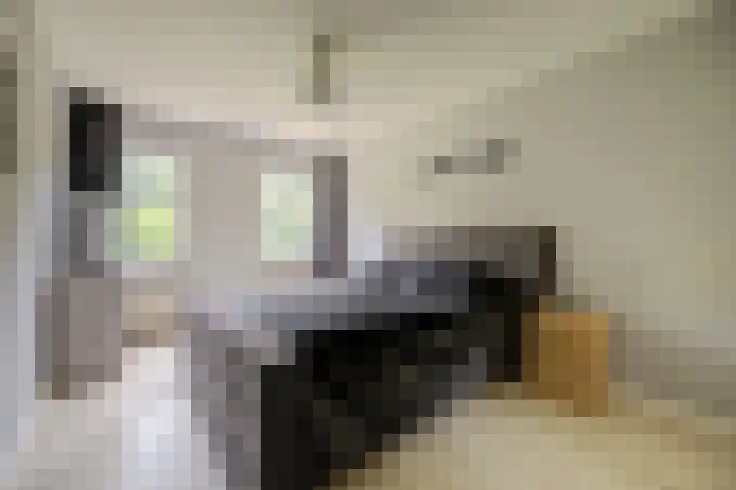 Lorentzstraat 44 Ridderkerk thumbnail 15