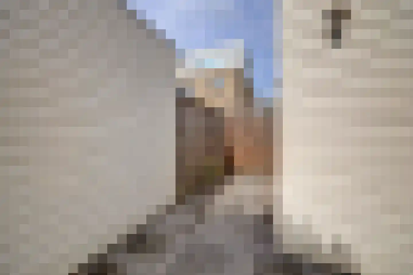 Lorentzstraat 44 Ridderkerk thumbnail 32