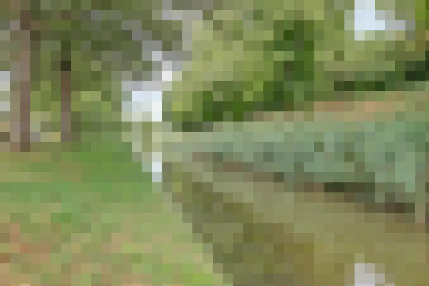 Lorentzstraat 44 Ridderkerk thumbnail 36