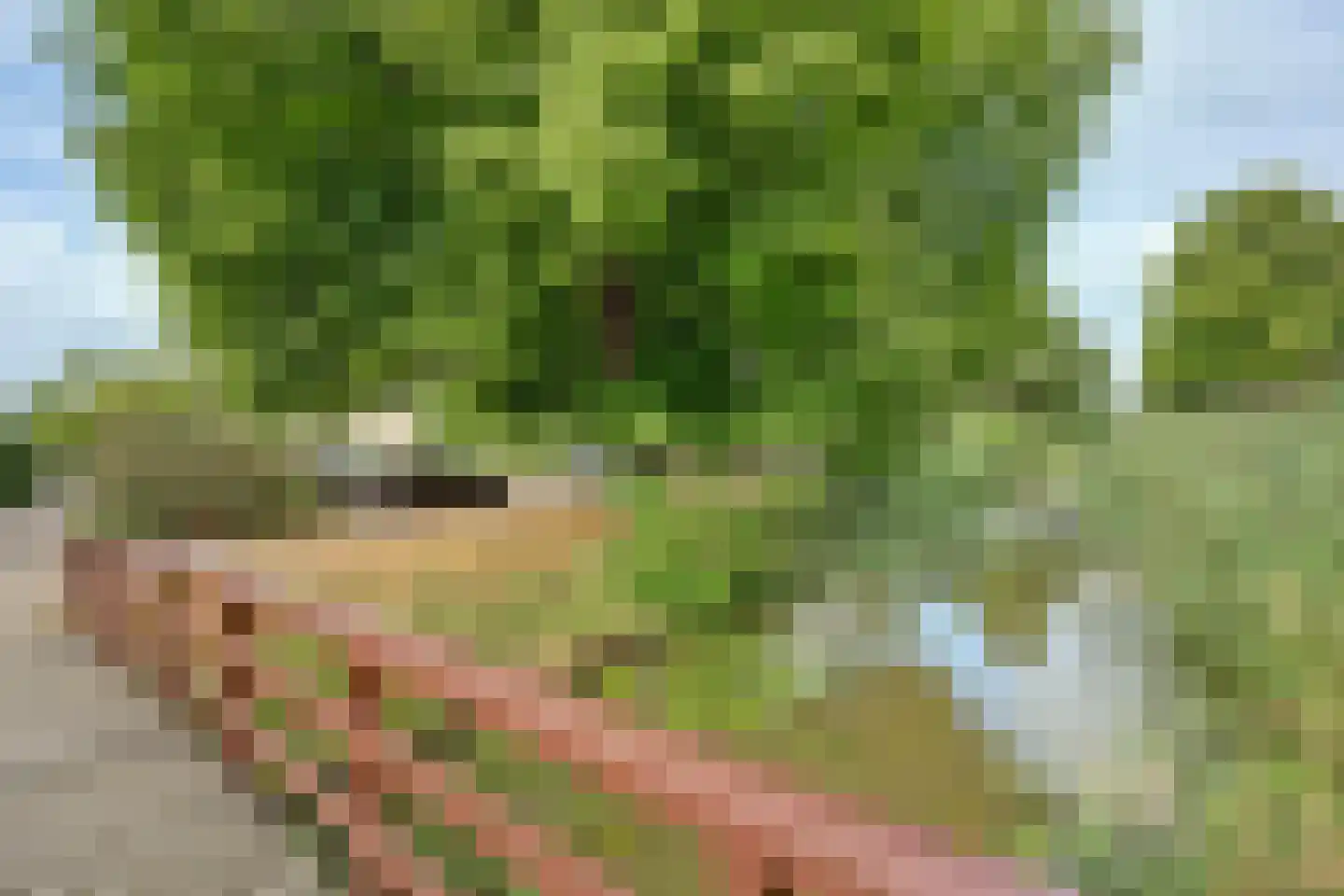 Lorentzstraat 44 Ridderkerk thumbnail 37