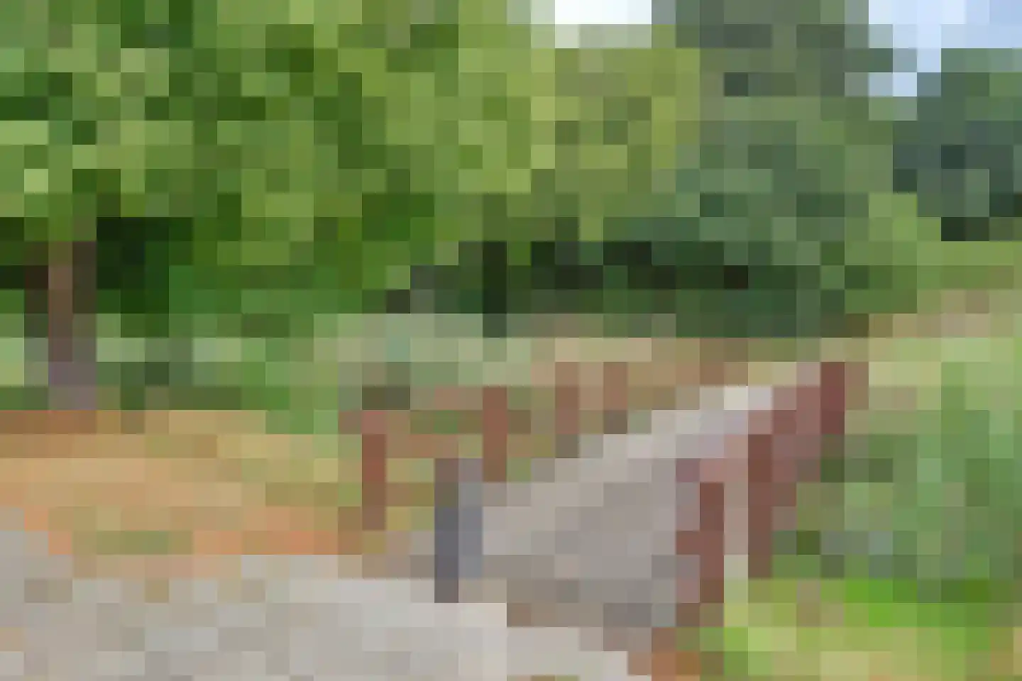 Lorentzstraat 44 Ridderkerk thumbnail 38