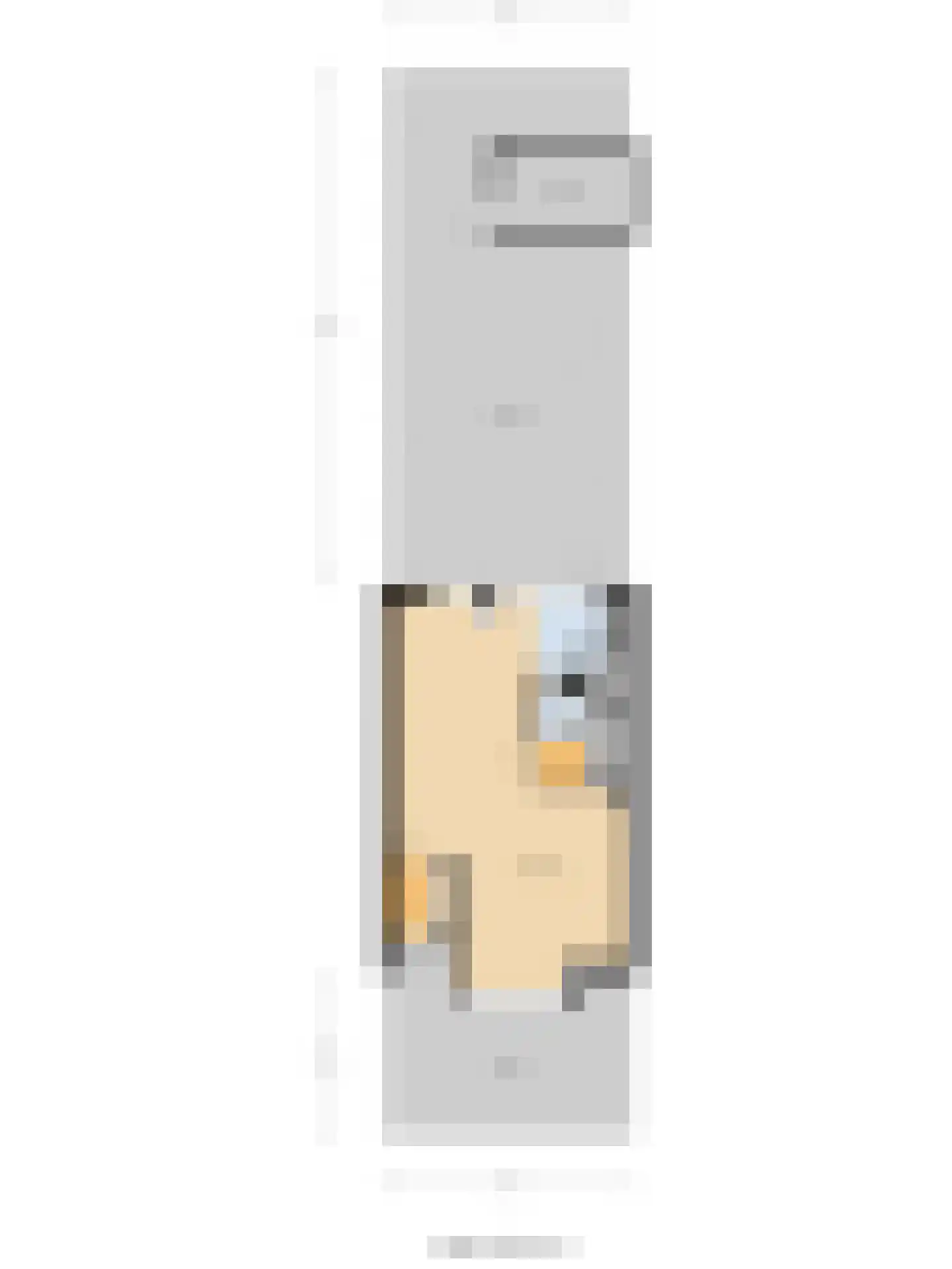 Lorentzstraat 44 Ridderkerk thumbnail 39