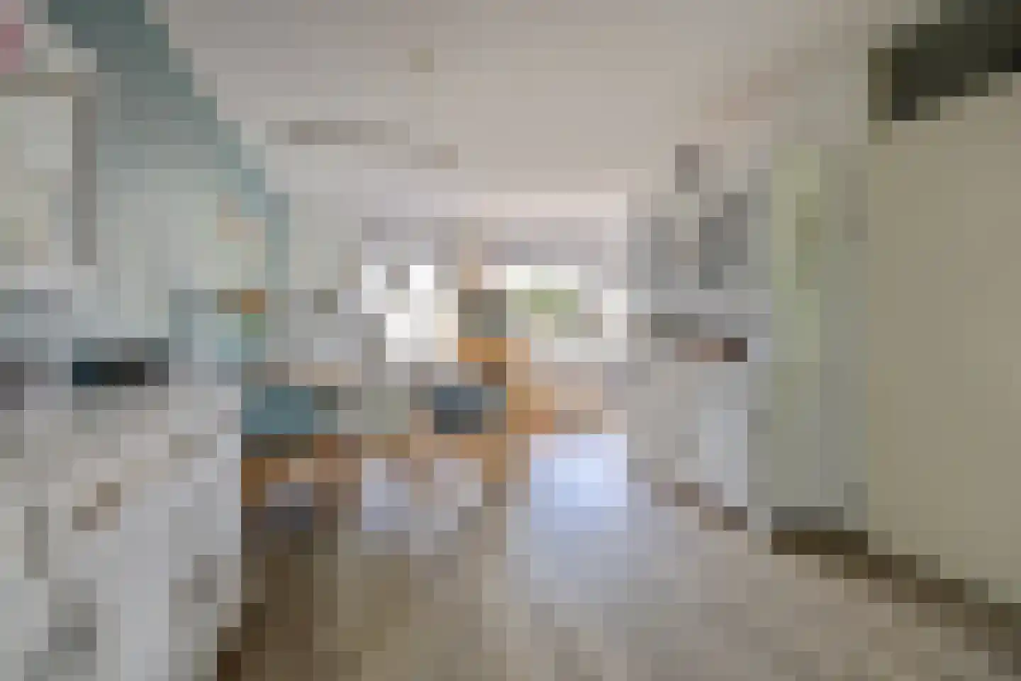 Lorentzstraat 44 Ridderkerk thumbnail 6