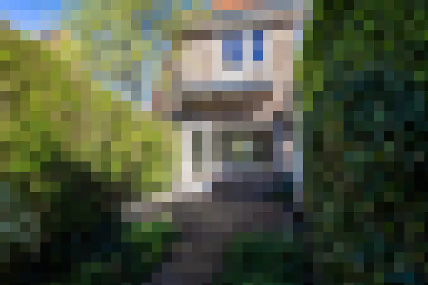 Lorentzstraat 46 Amersfoort thumbnail 15
