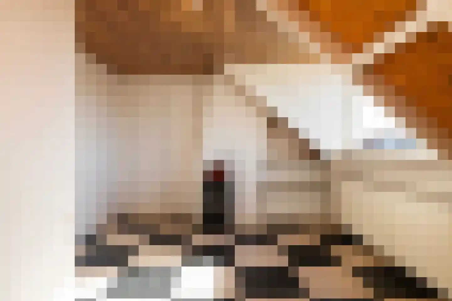 Lorentzstraat 46 Amersfoort thumbnail 31