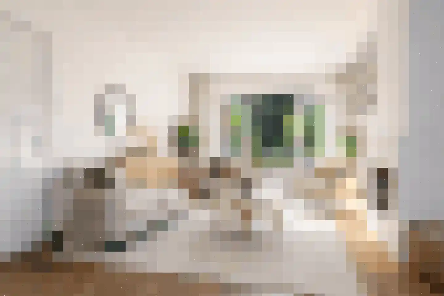 Lorentzstraat 46 Amersfoort thumbnail 8