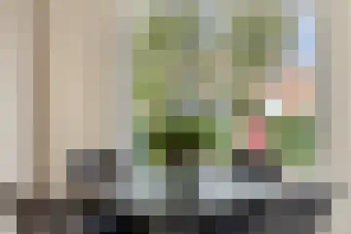 Lorentzstraat 47 Maastricht thumbnail 9