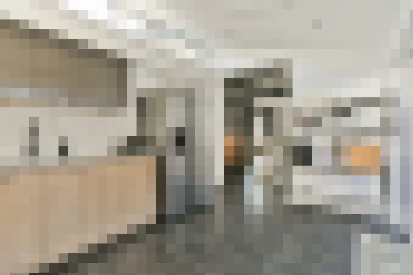 Lorentzstraat 6 Zandvoort thumbnail 18