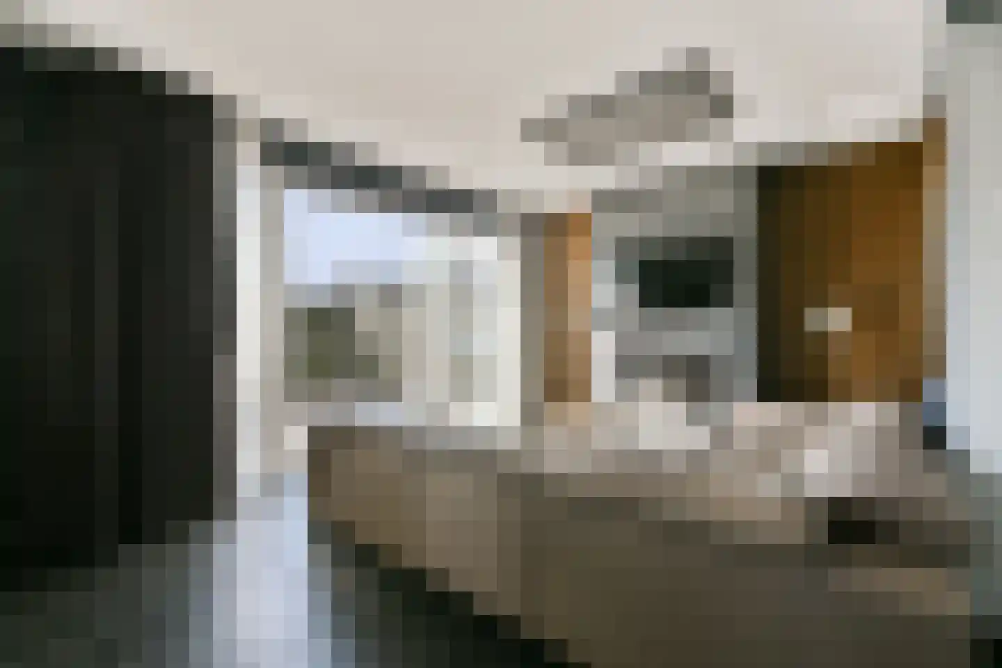 Lorentzstraat 6 Zandvoort thumbnail 8