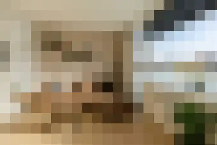 Lorentzstraat 62 IJmuiden thumbnail 7