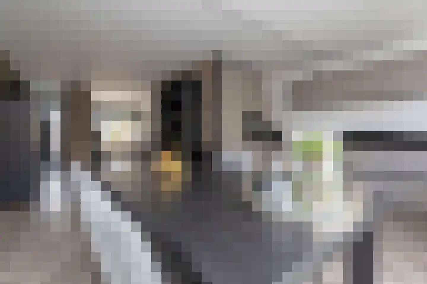 Lorentzstraat 65 Ridderkerk thumbnail 14