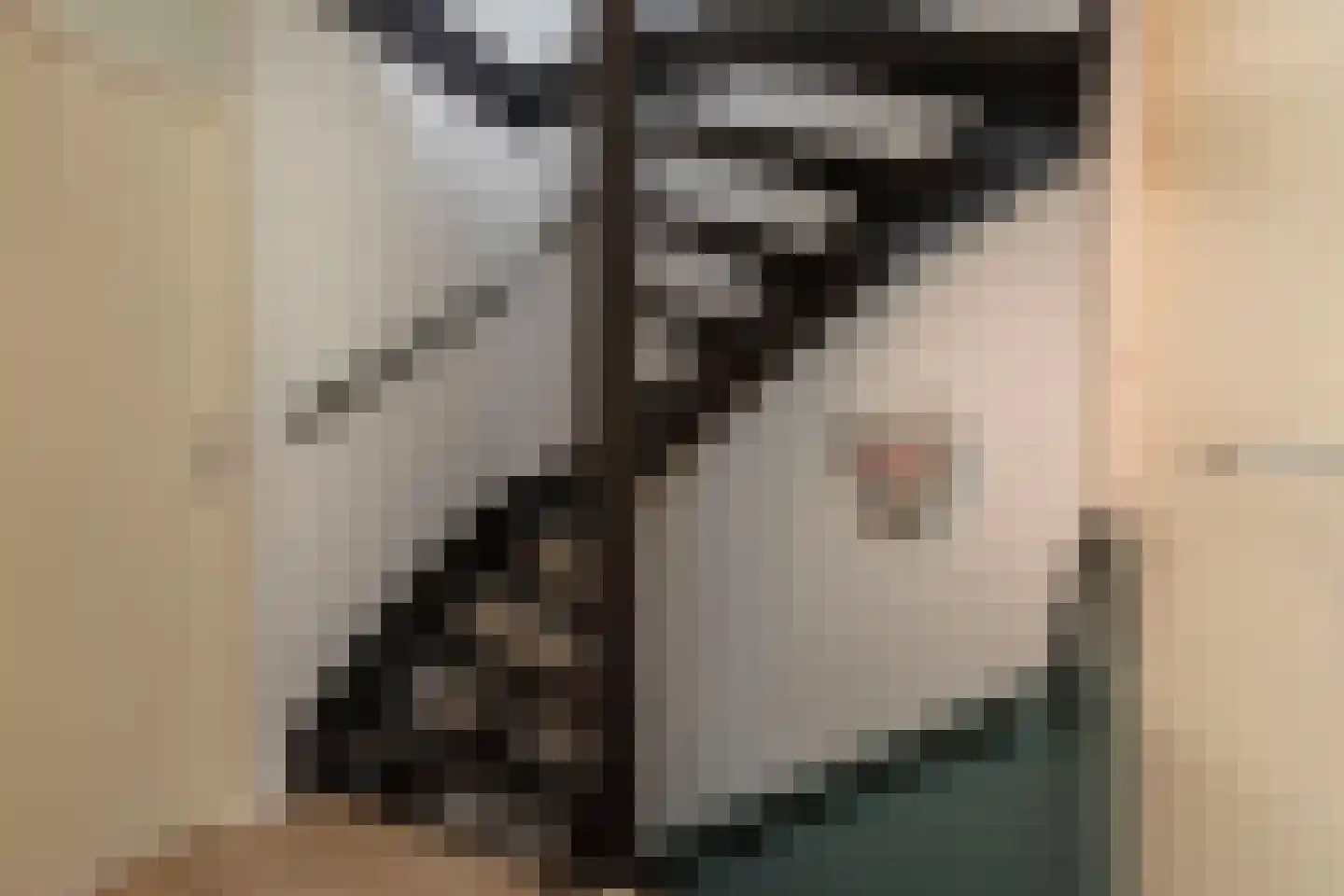 Lorentzstraat 65 Ridderkerk thumbnail 17