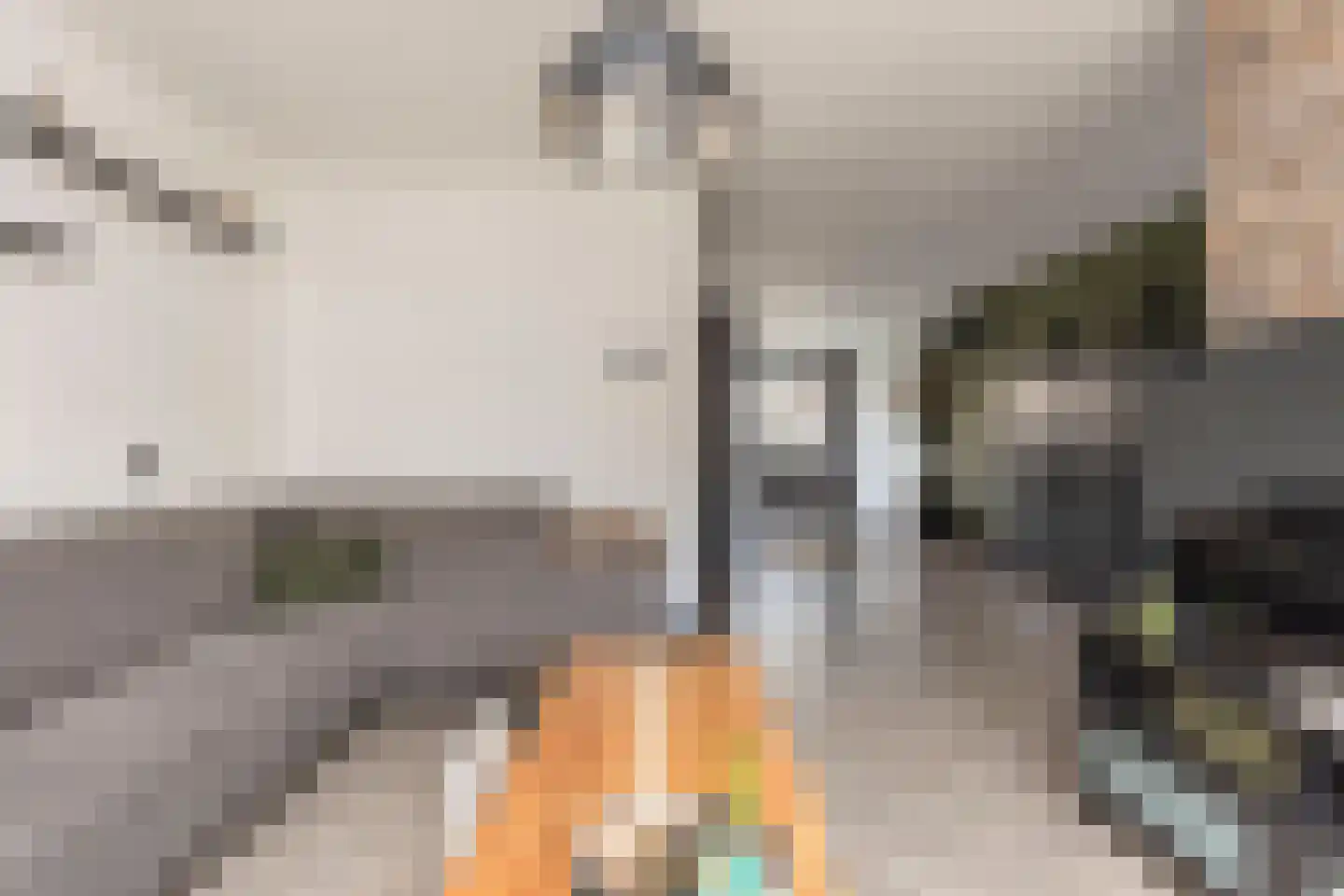 Lorentzstraat 65 Ridderkerk thumbnail 8