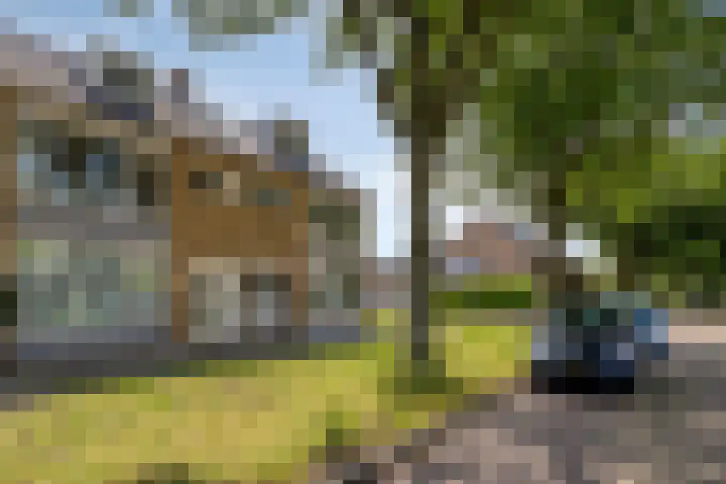 Lorentzstraat 68 Breda thumbnail 29