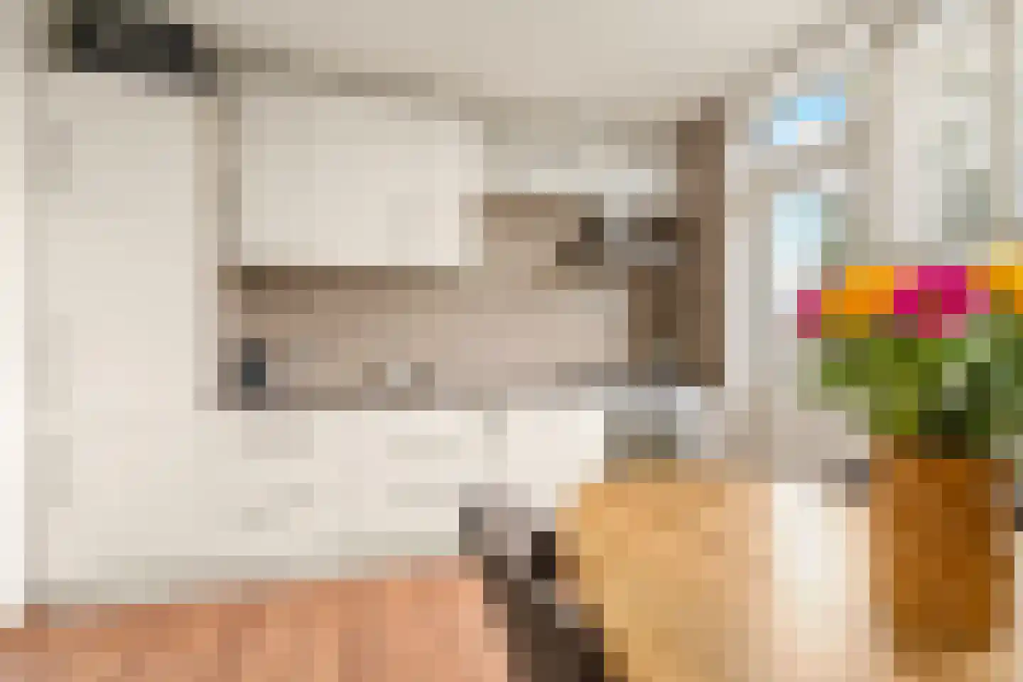 Lorentzstraat 68 IJmuiden thumbnail 8