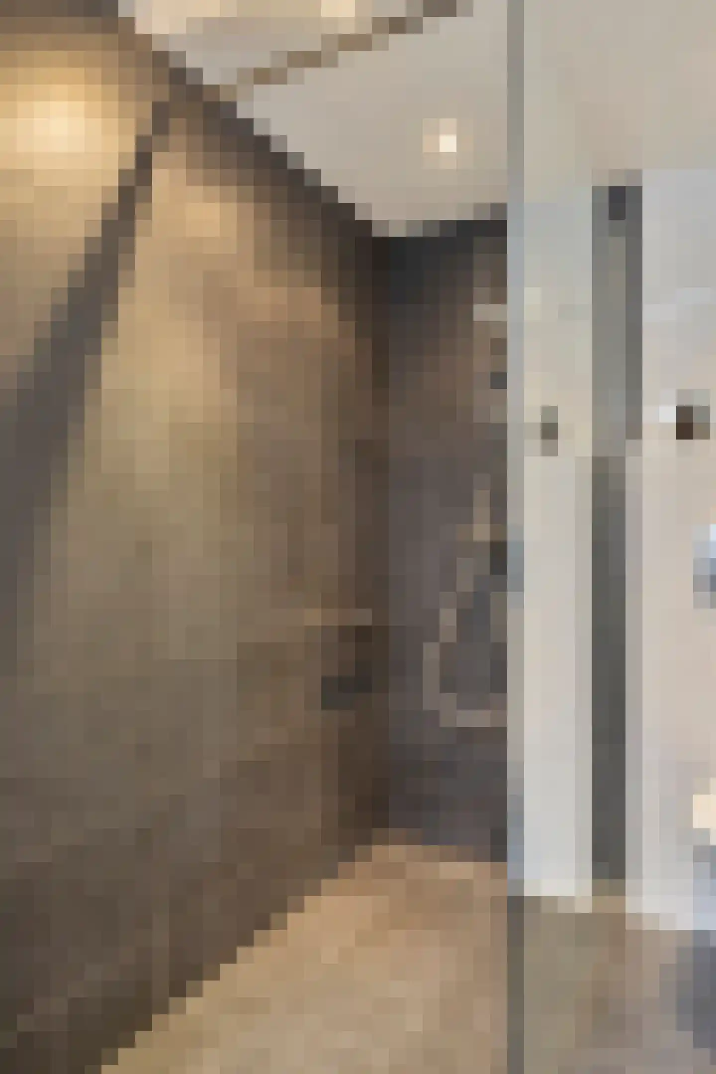Lorentzstraat 8 Geleen thumbnail 11