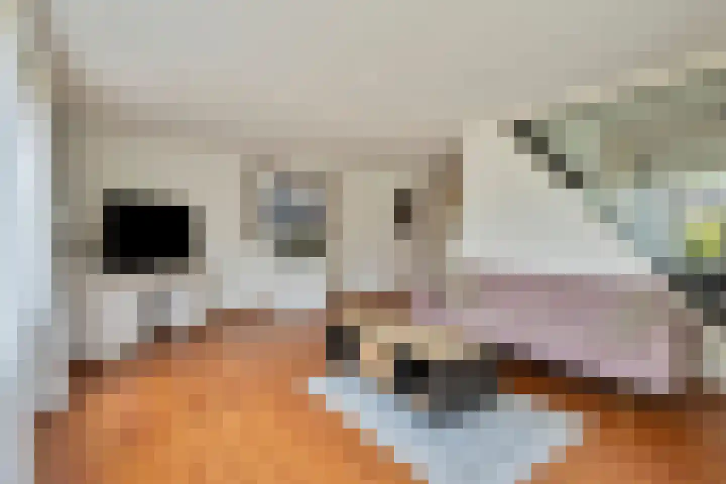 Lorentzstraat 8 Geleen thumbnail 5