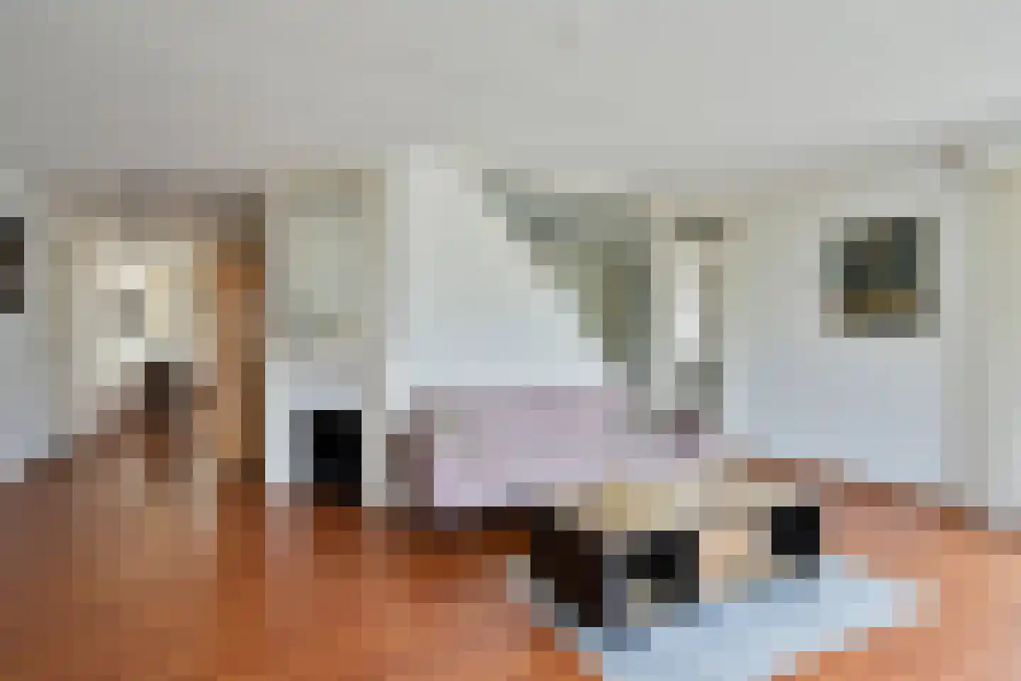 Lorentzstraat 8 Geleen thumbnail 6
