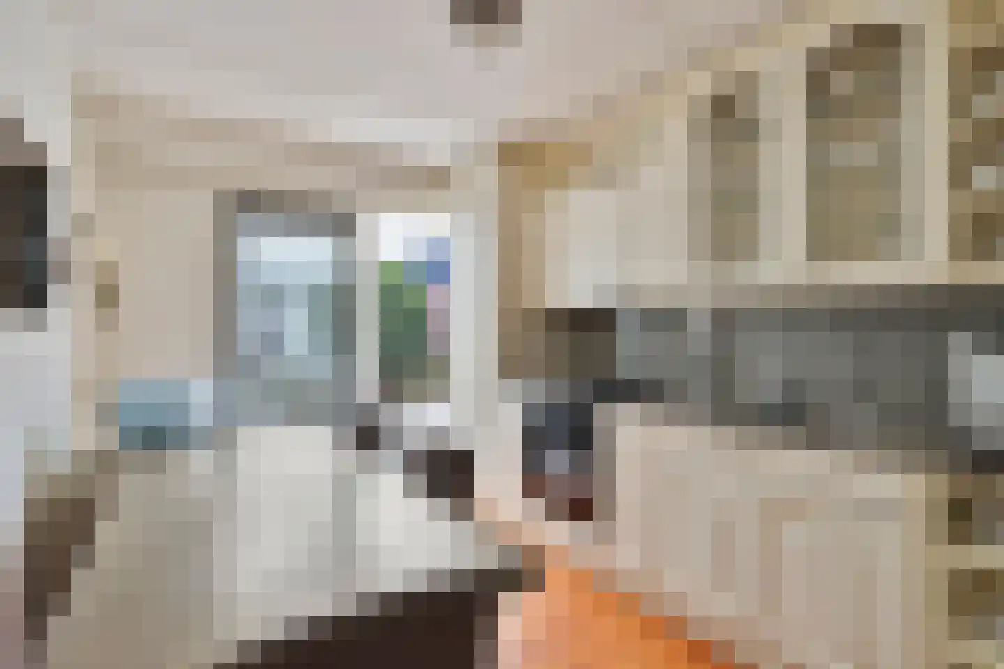 Lorentzstraat 8 Geleen thumbnail 7
