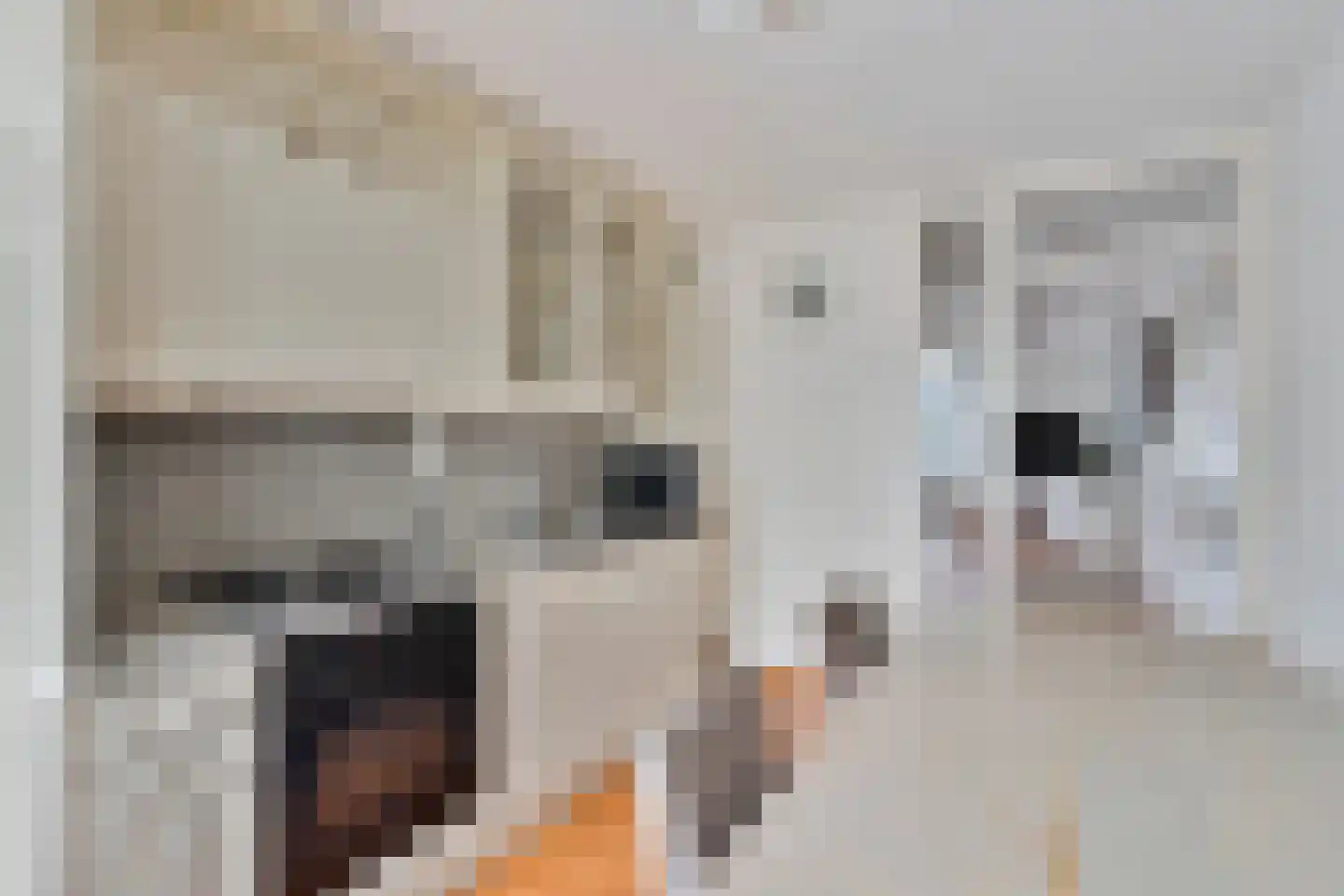 Lorentzstraat 8 Geleen thumbnail 8