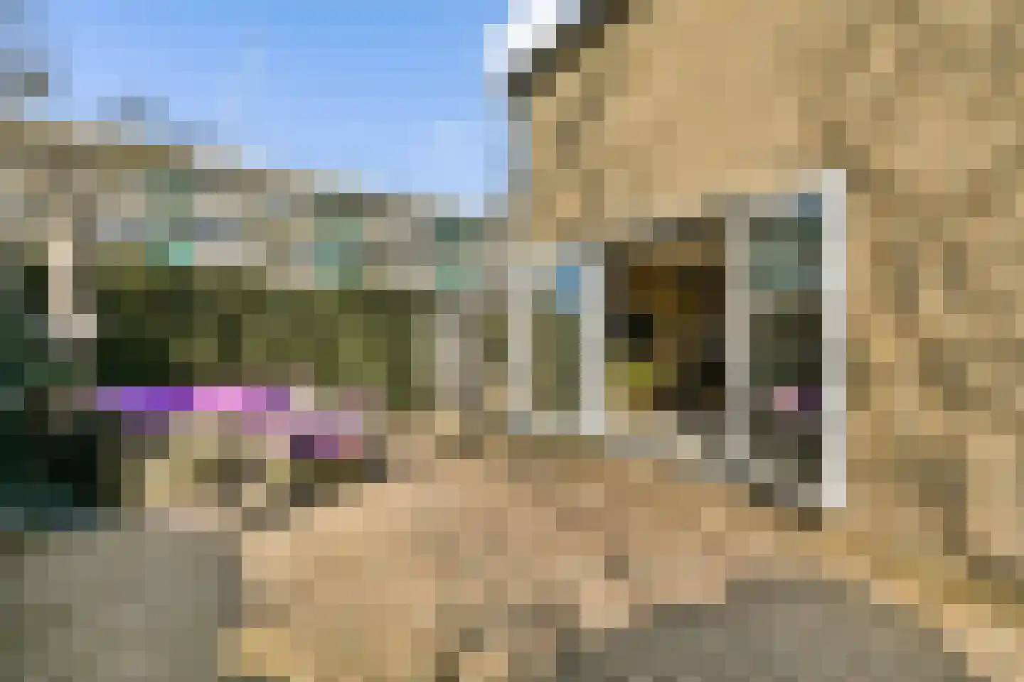 Lorentzstraat 8 Zandvoort thumbnail 10