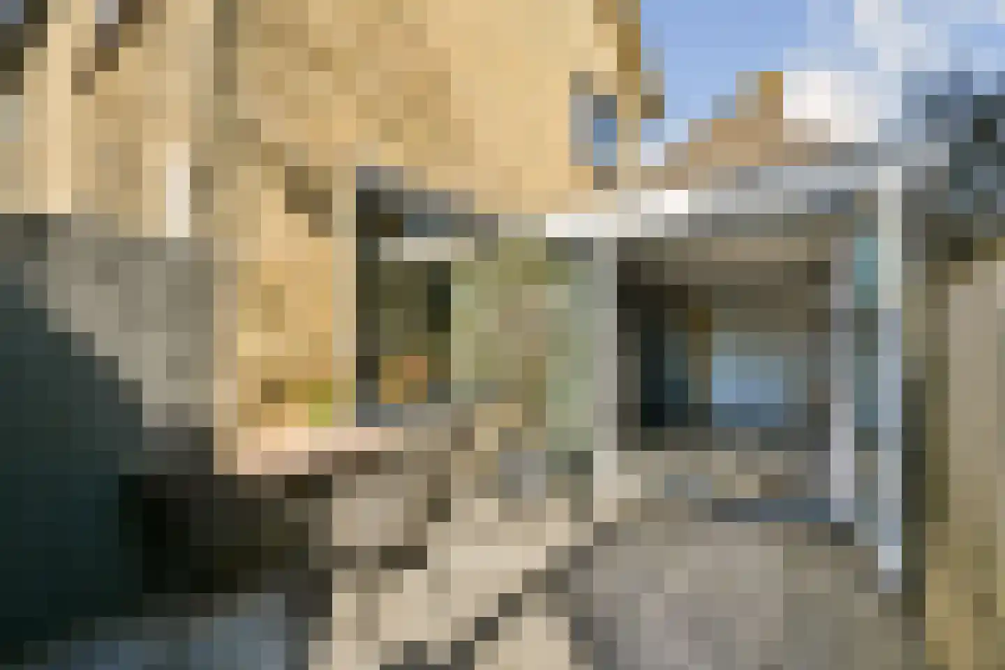 Lorentzstraat 8 Zandvoort thumbnail 17