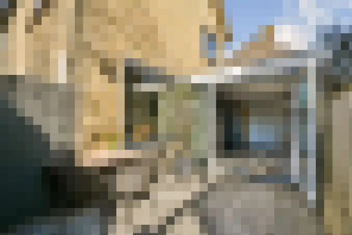 Lorentzstraat 8 Zandvoort thumbnail 17