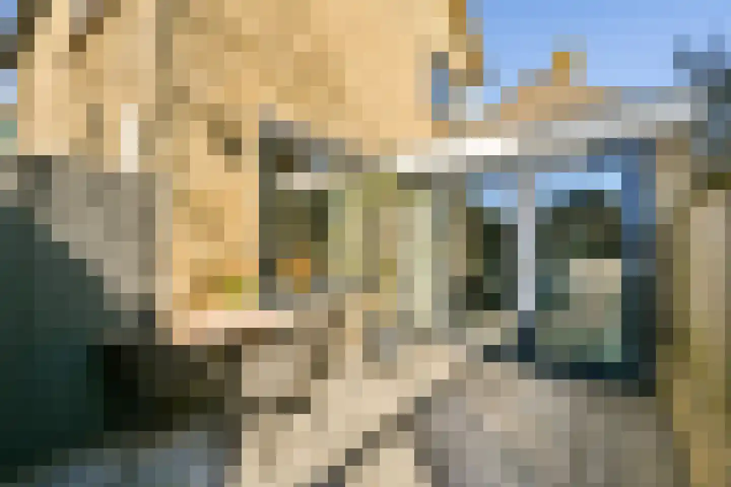 Lorentzstraat 8 Zandvoort thumbnail 18