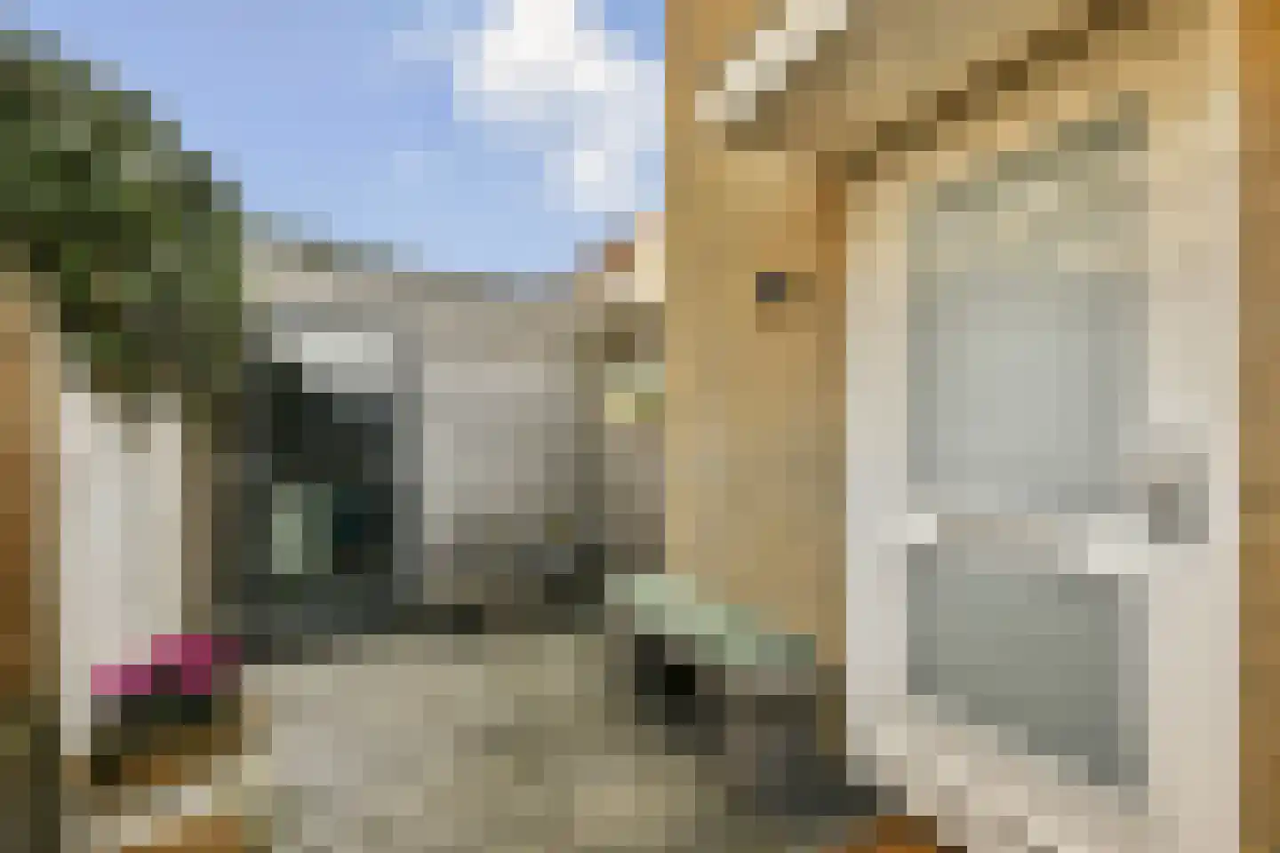 Lorentzstraat 8 Zandvoort thumbnail 36