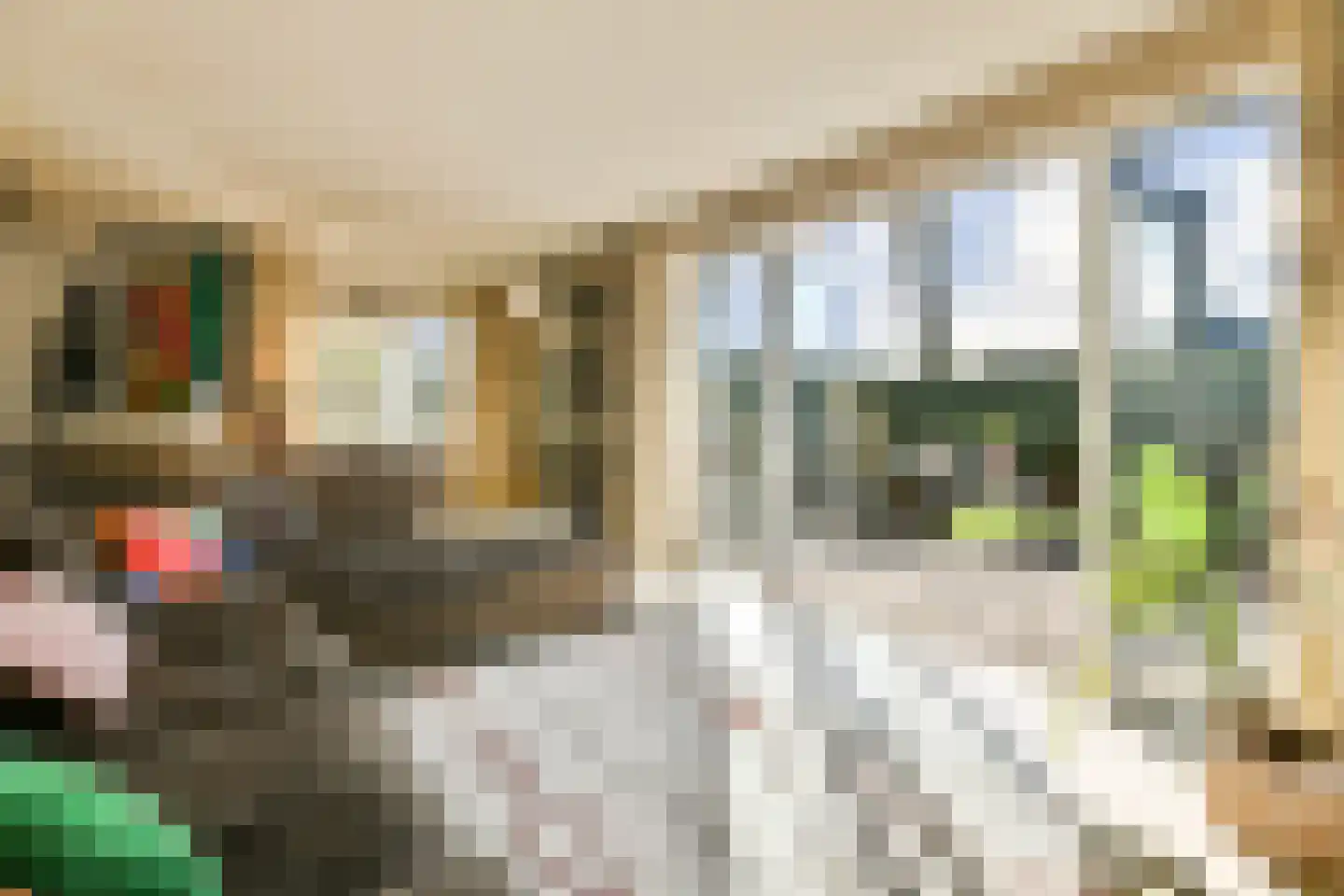 Lorentzstraat 8 Zandvoort thumbnail 6