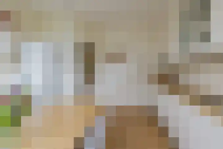 Lorentzstraat 80 IJmuiden thumbnail 8
