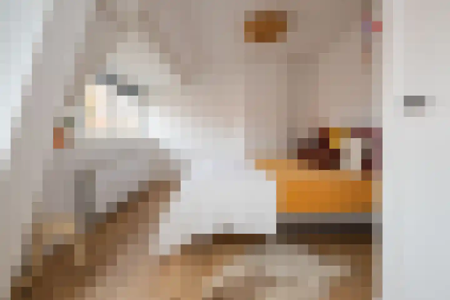 Lorentzweg 117 Hilversum thumbnail 22