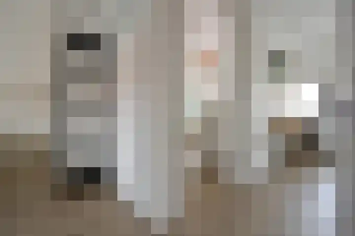 Lorentzweg 14 Hilversum thumbnail 12