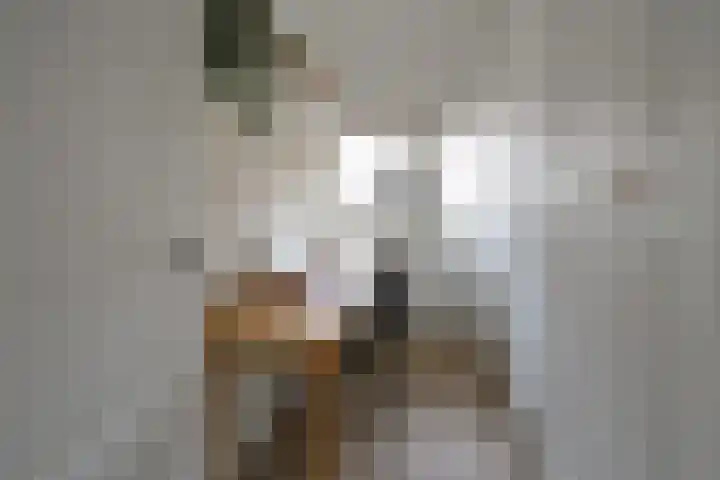 Lorentzweg 14 Hilversum thumbnail 15