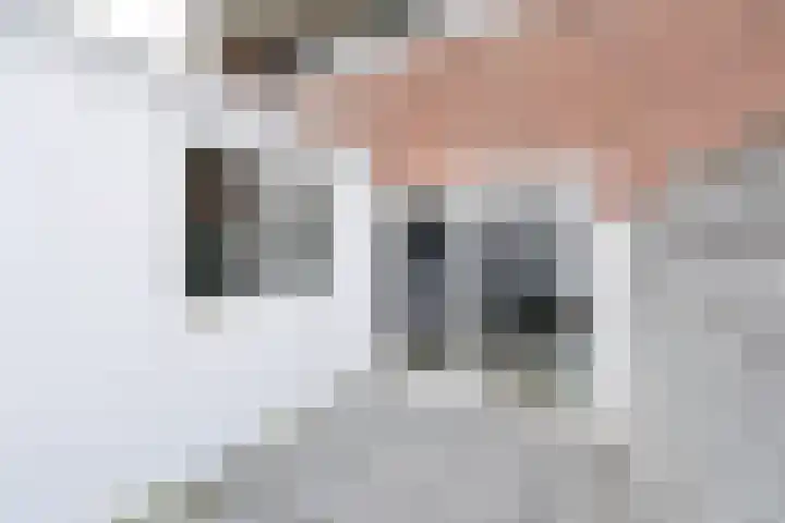 Lorentzweg 14 Hilversum thumbnail 17