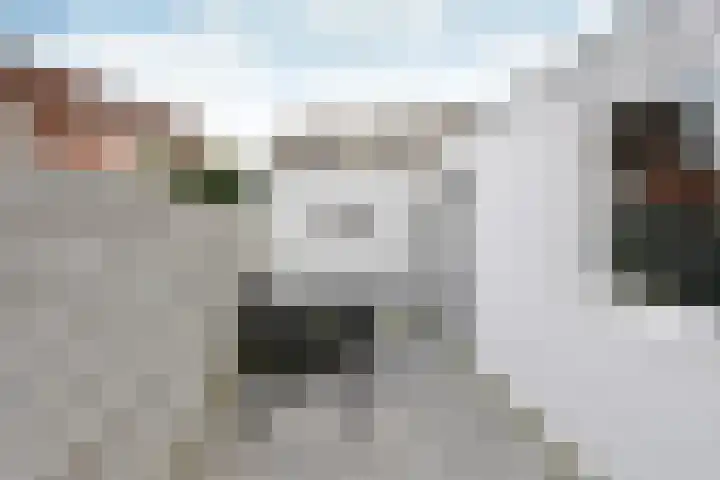 Lorentzweg 14 Hilversum thumbnail 18