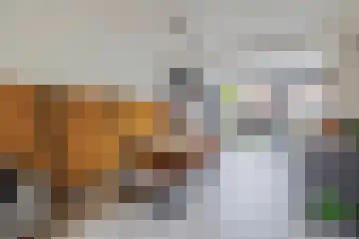 Lorentzweg 21 Lekkerkerk thumbnail 15
