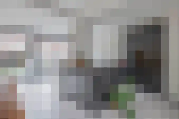 Lorentzweg 21 Lekkerkerk thumbnail 18