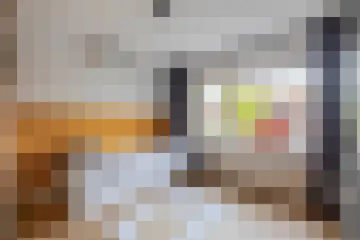 Lorentzweg 21 Lekkerkerk thumbnail 33