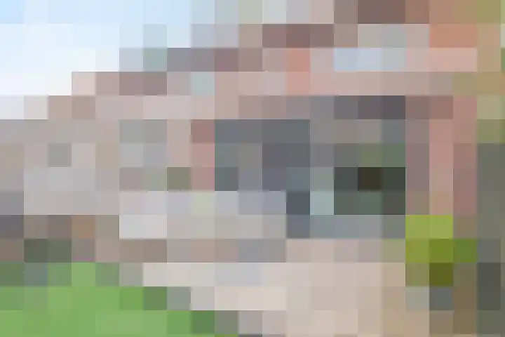 Lorentzweg 21 Lekkerkerk thumbnail 4