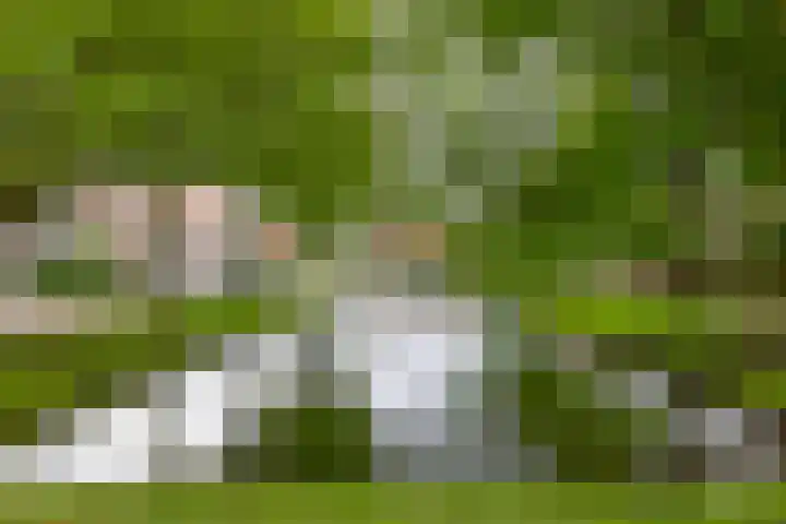 Lorentzweg 21 Lekkerkerk thumbnail 41