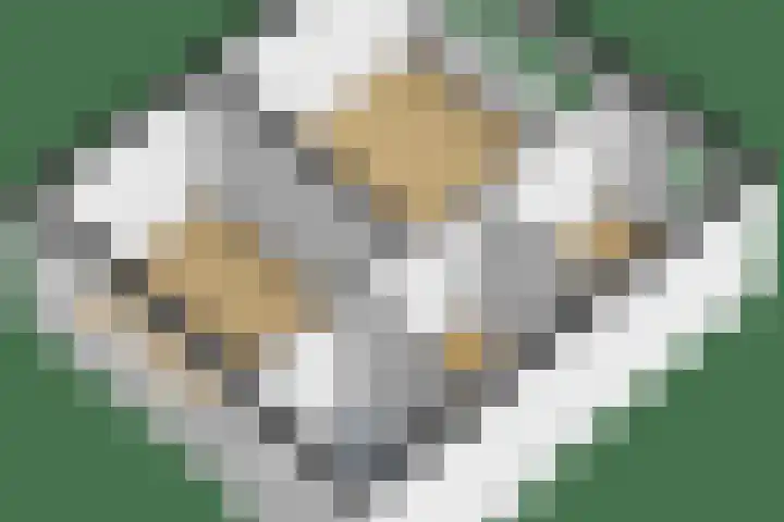 Lorentzweg 21 Lekkerkerk thumbnail 47